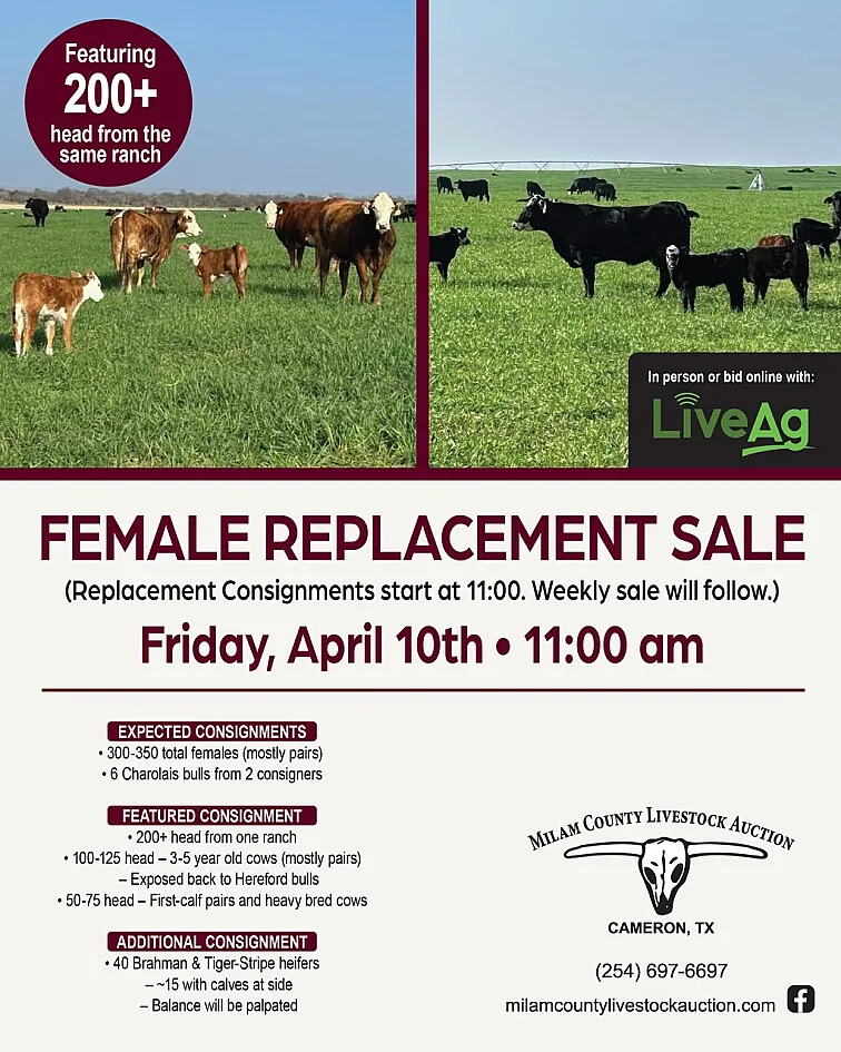Milam County Livestock Auction poster image