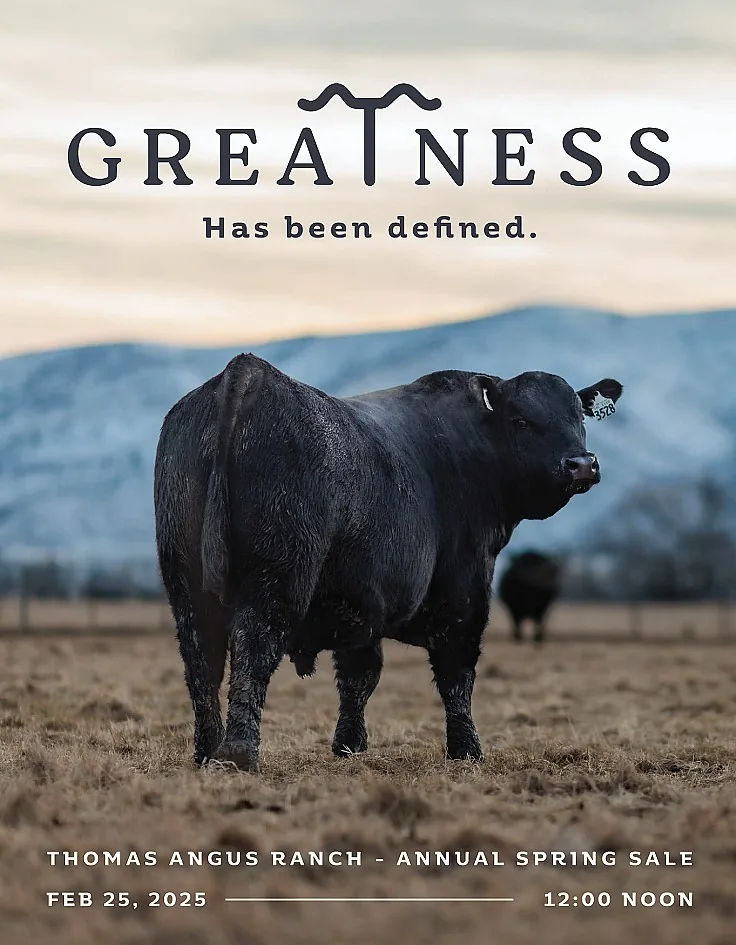 Thomas Angus Ranch poster image