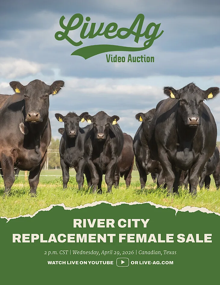 LiveAg Video Livestock Auction poster image