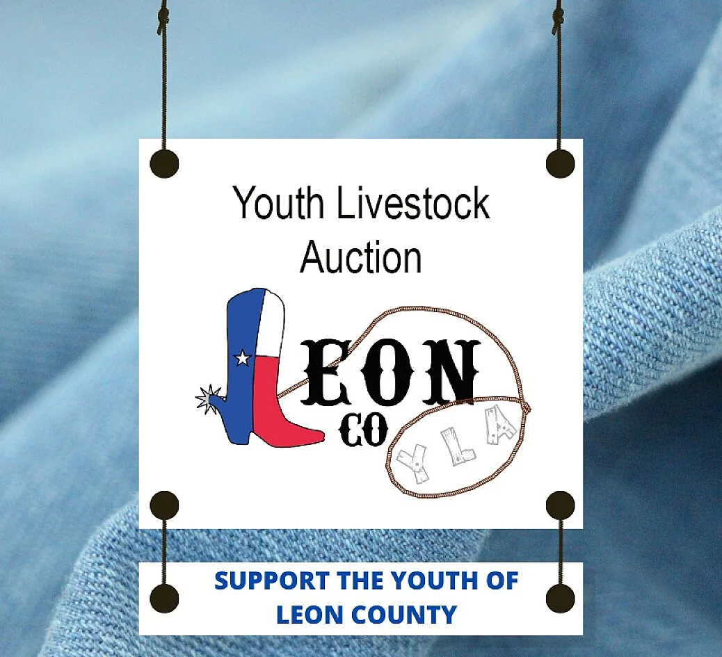 Leon County poster image