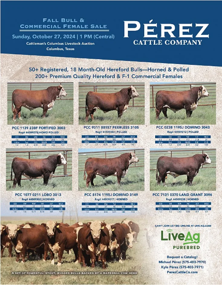 Perez Cattle Company poster image