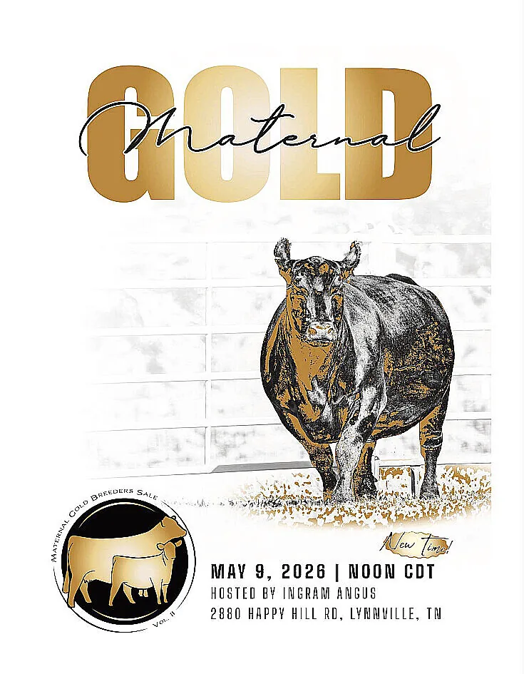Ingram Angus & Golden J Farms poster image