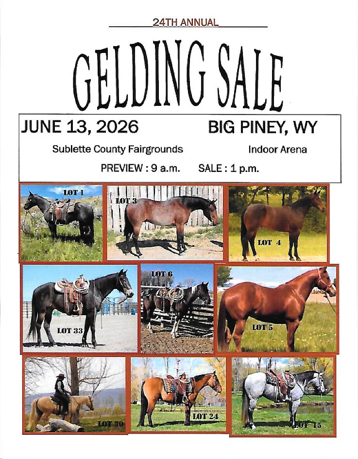 Western Wyoming poster image