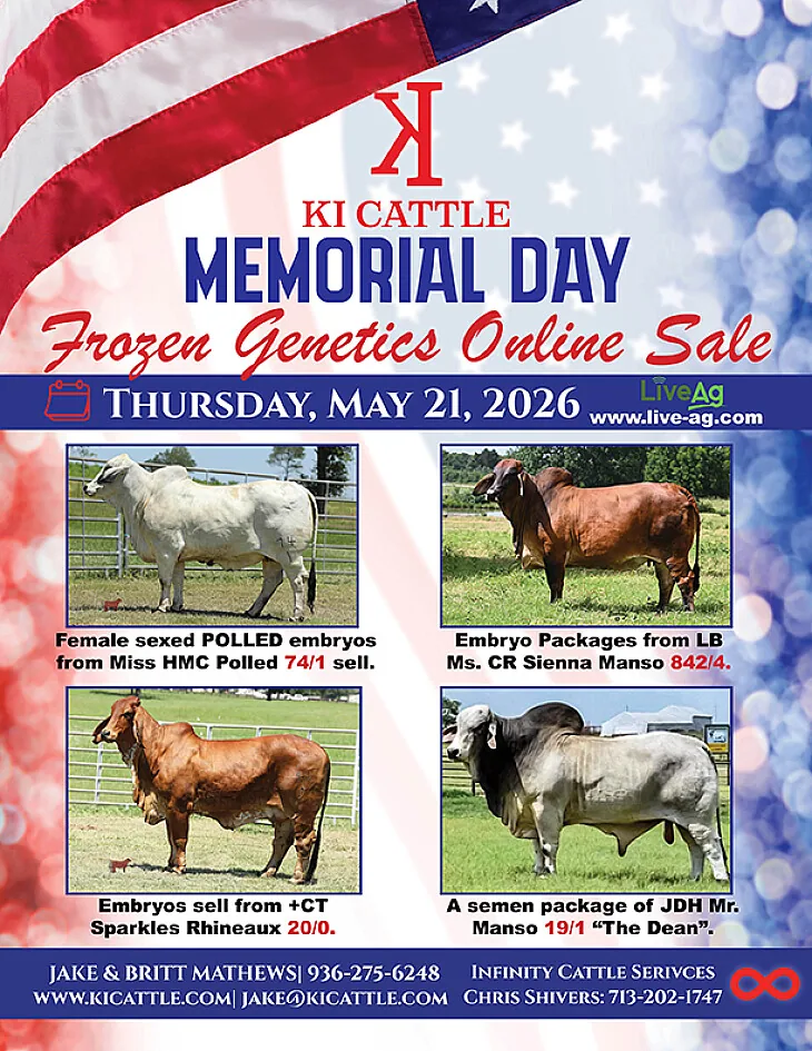 KI Cattle Memorial Day poster image