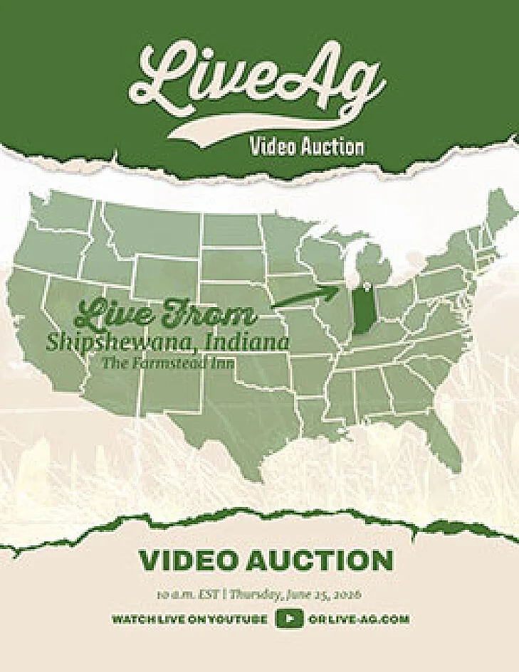 LiveAg Commercial Cattle poster image