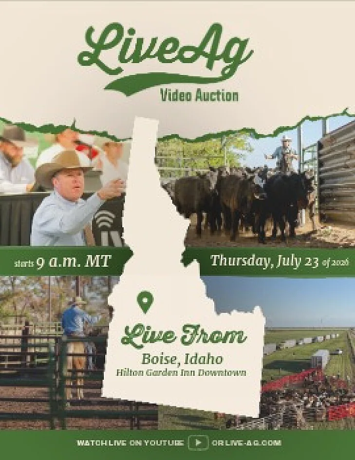 LiveAg Commercial Cattle poster image