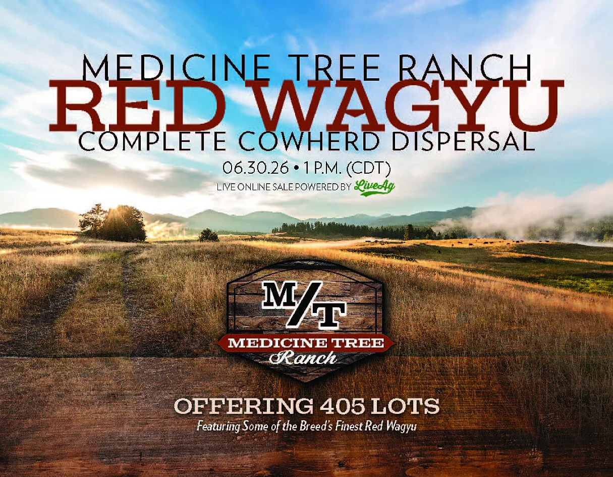 Medicine Tree Ranch poster image