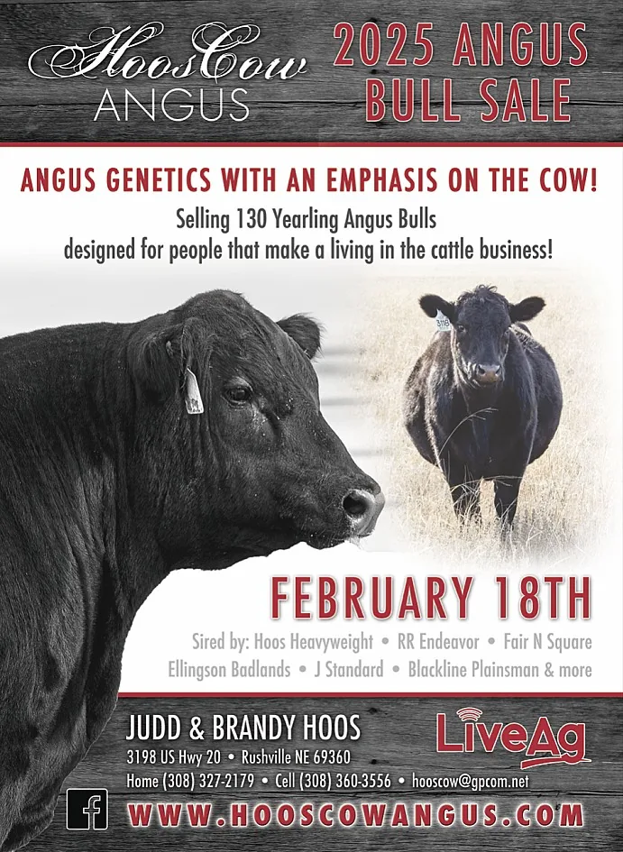 HoosCow Angus poster image