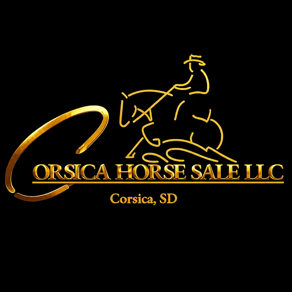 Corsica Horse Sale LLC poster image