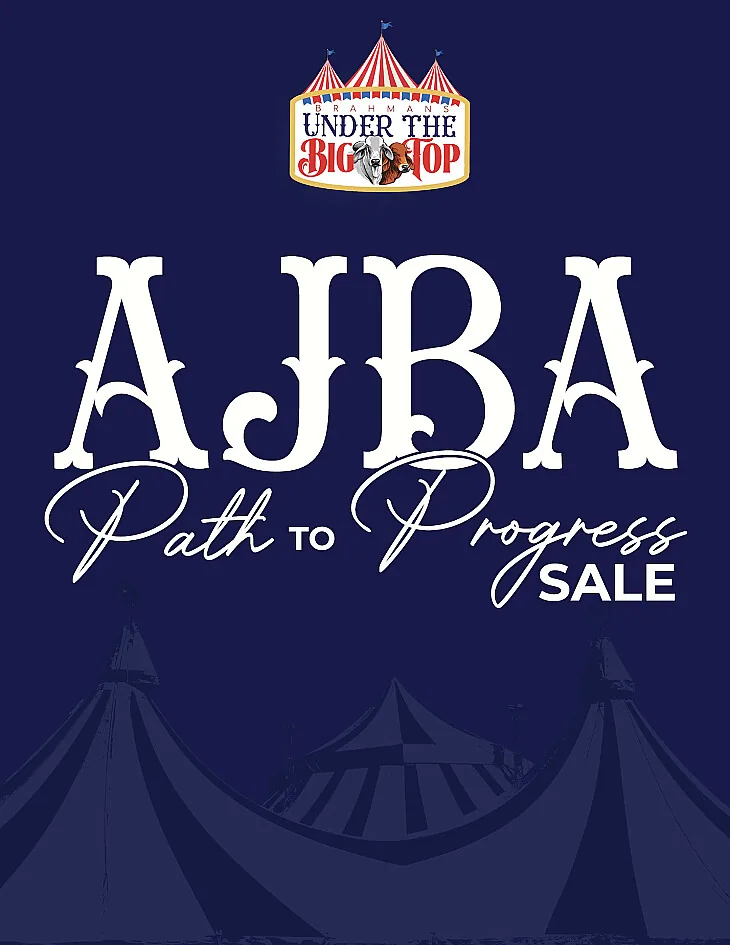 AJBA poster image