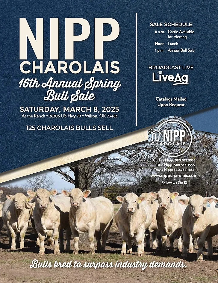 Nipp Charolais poster image