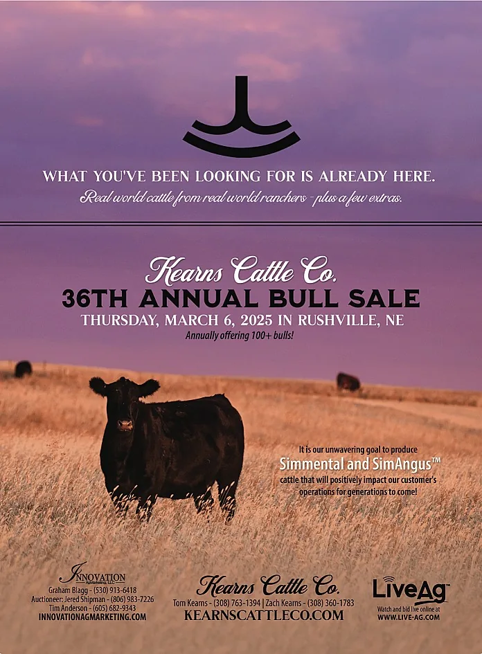 Kearns Cattle Co poster image