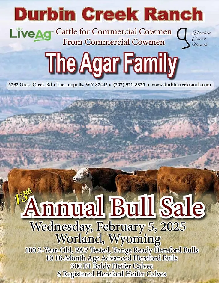 Durbin Creek Ranch poster image