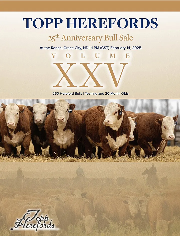 Topp Herefords poster image
