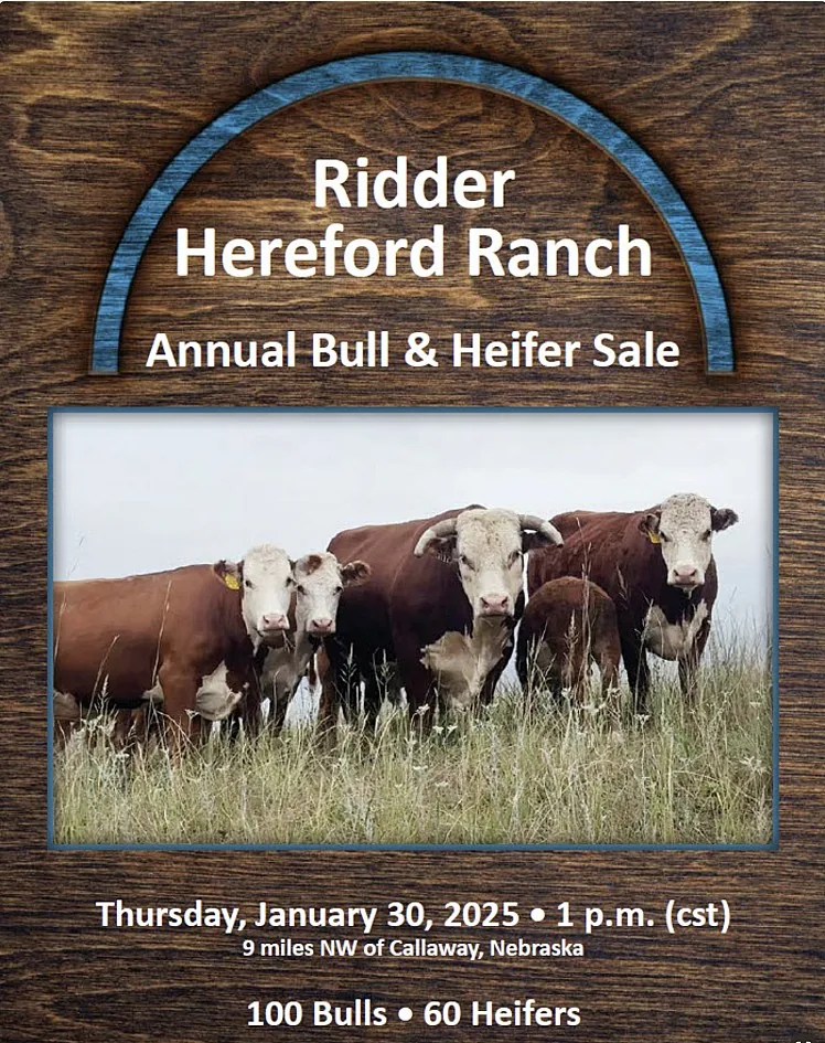 Ridder Hereford Ranch poster image