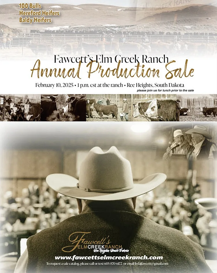Fawcett’s Elm Creek Ranch poster image