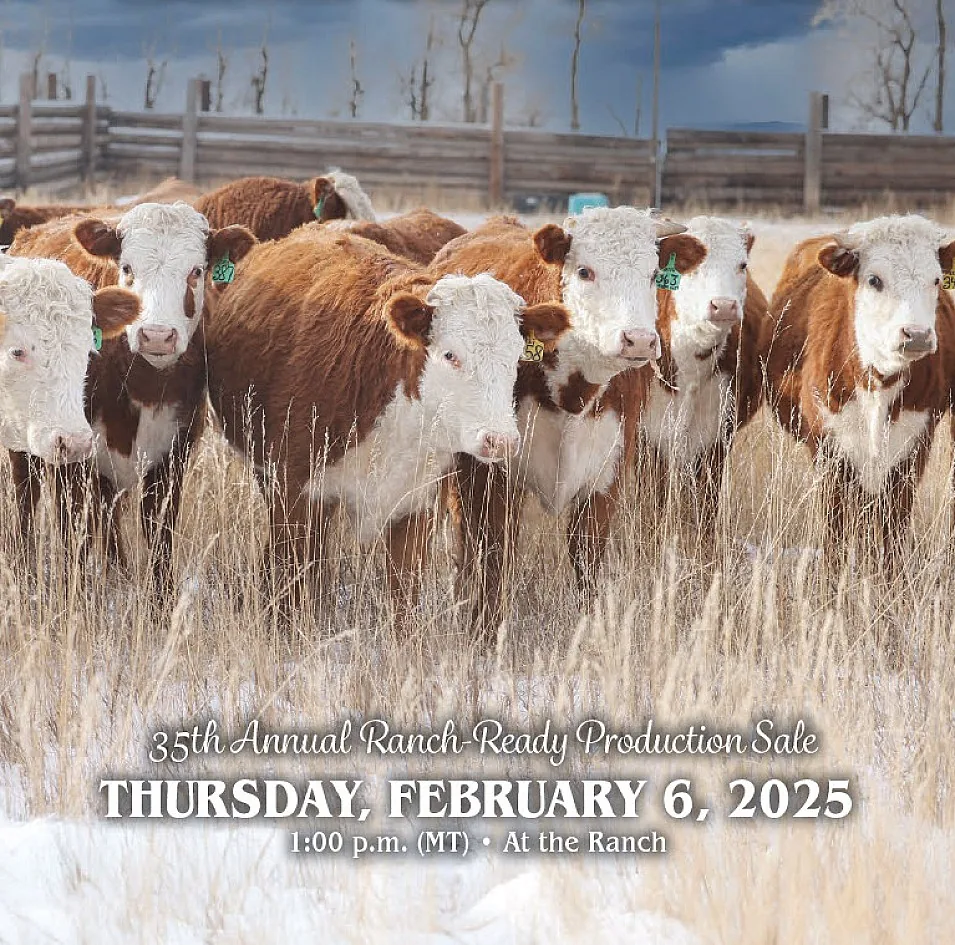 Stroh Hereford Ranch poster image