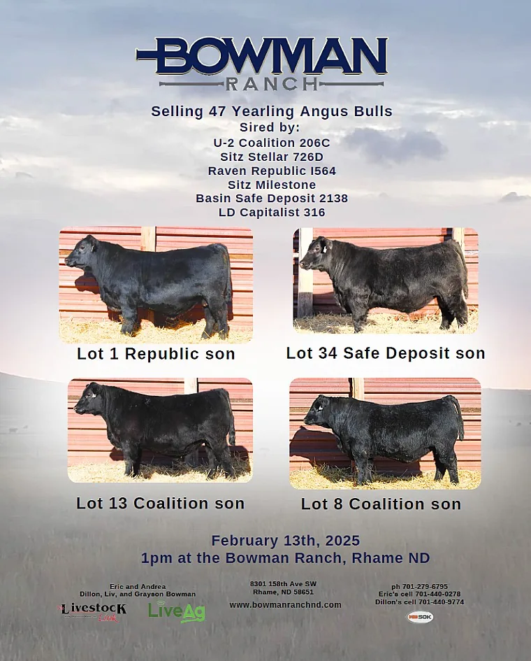 Bowman Ranch poster image