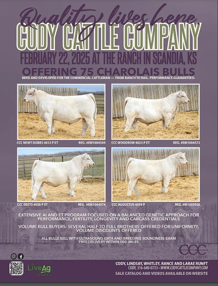 Cody Cattle Company poster image