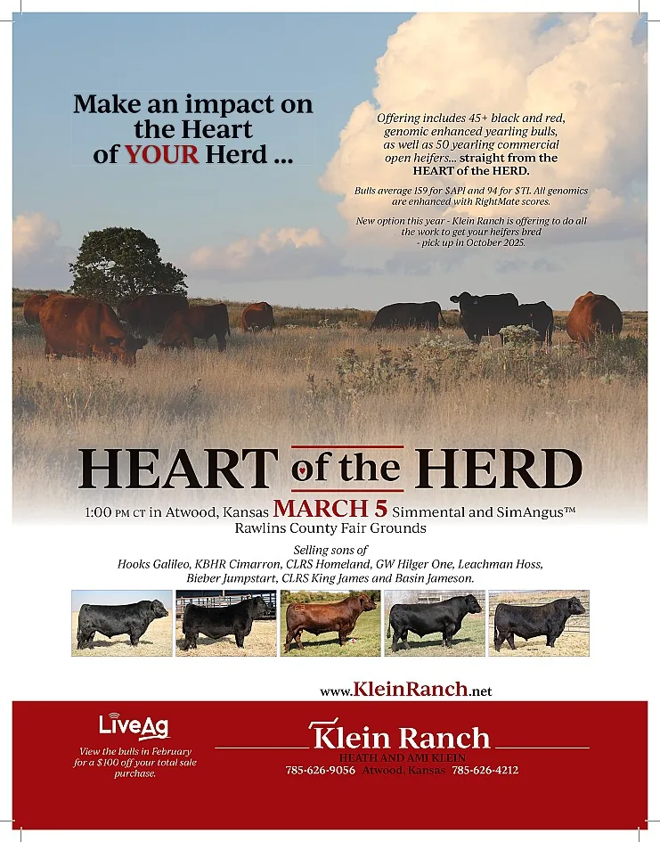 Klein Ranch poster image