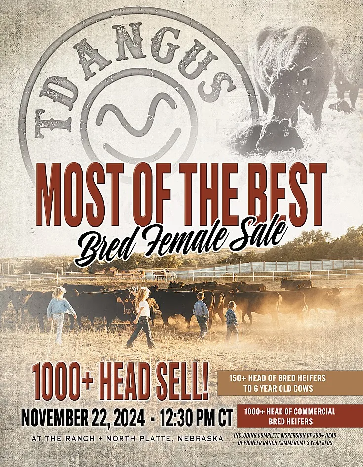 TD Angus poster image