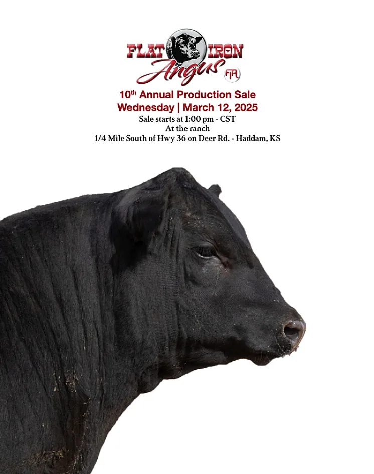 Flat Iron Angus poster image