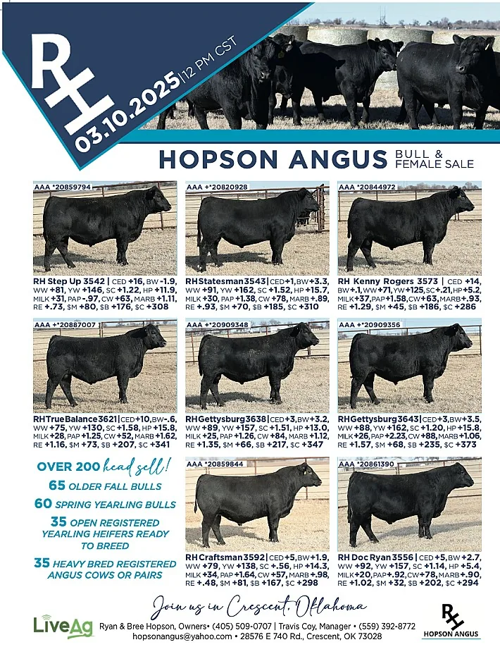 Hopson Angus poster image