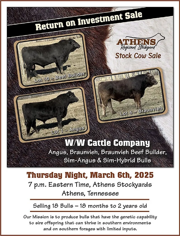 W/W Cattle Company poster image