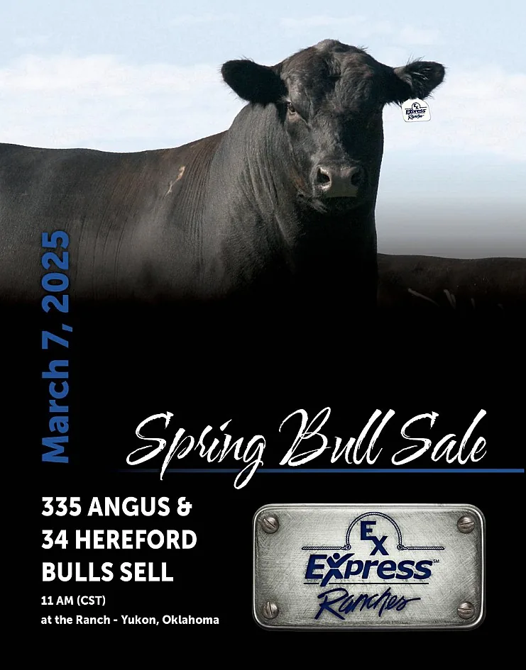 Express Ranches poster image