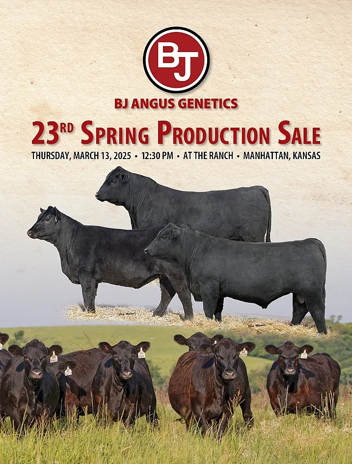 BJ Angus Genetics poster image