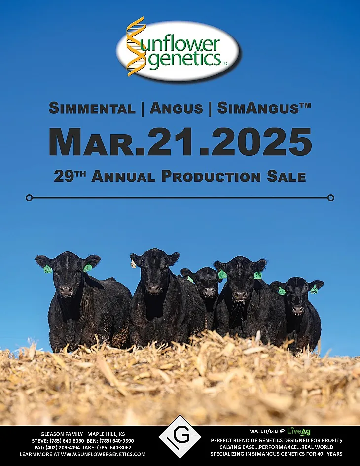 Sunflower Genetics poster image