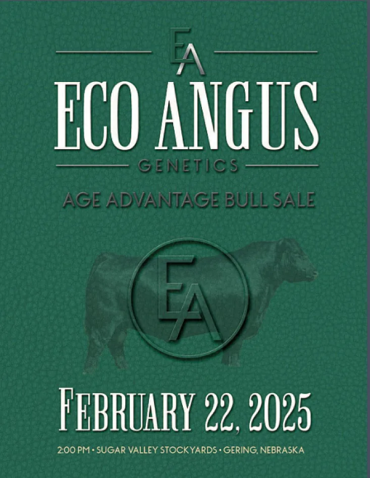 Eco Angus poster image