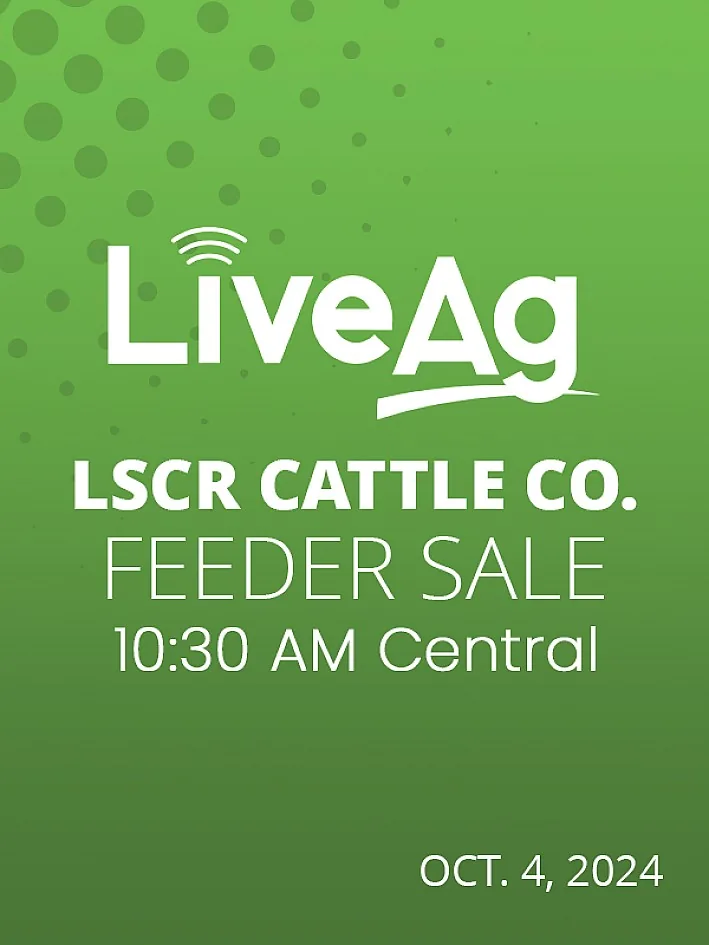 LSCR Cattle Co. poster image