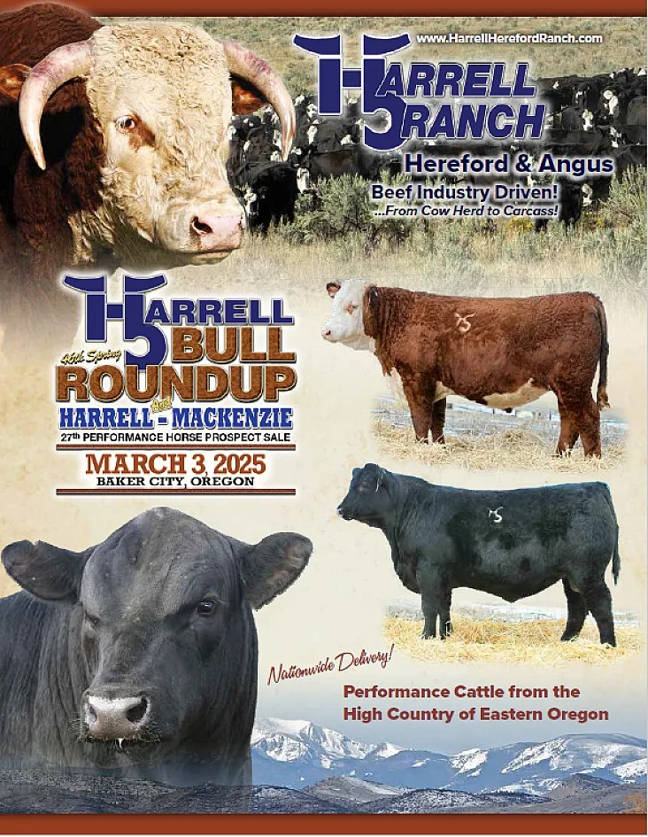 Harrell poster image