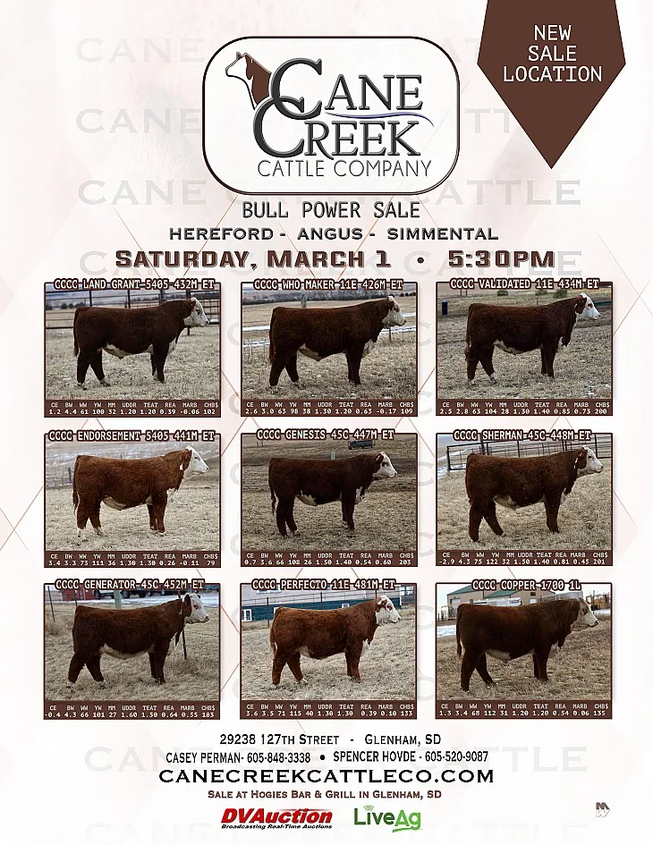 Cane Creek Cattle Company poster image