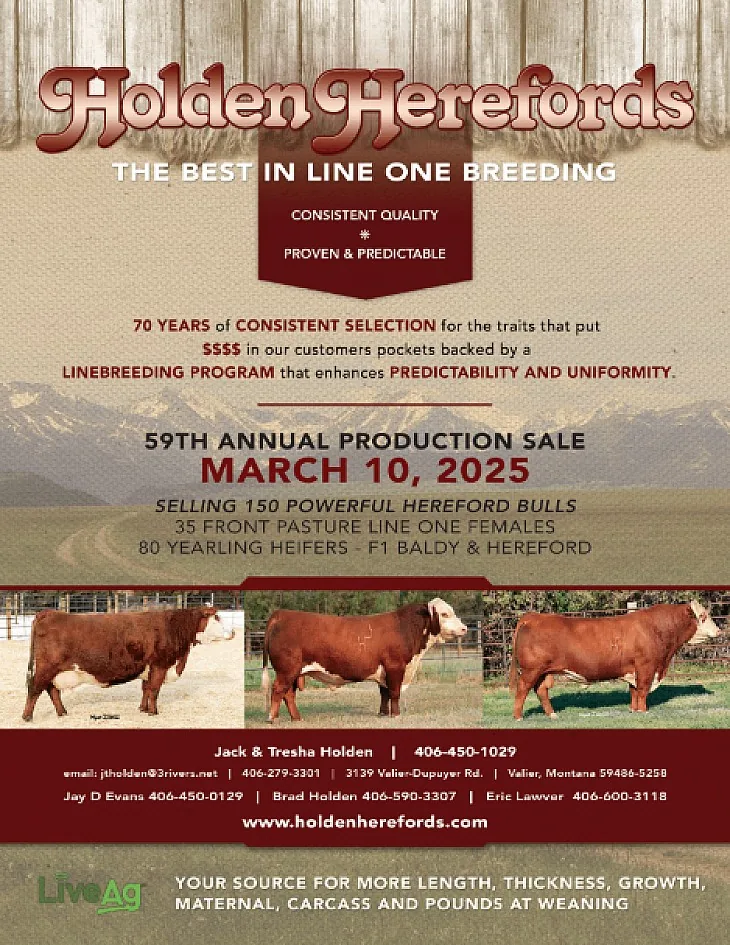 Holden Herefords poster image