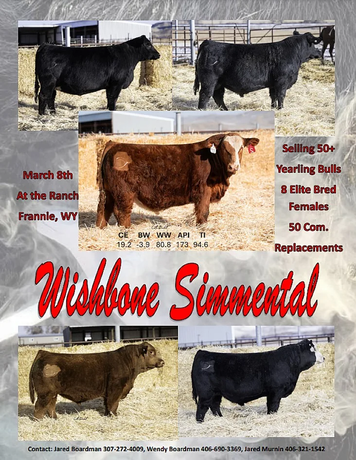 Wishbone Simmental poster image