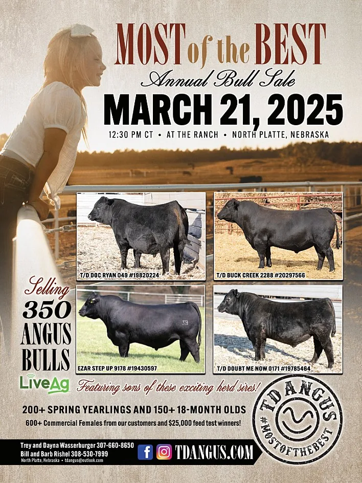TD Angus at Rishel Ranch poster image
