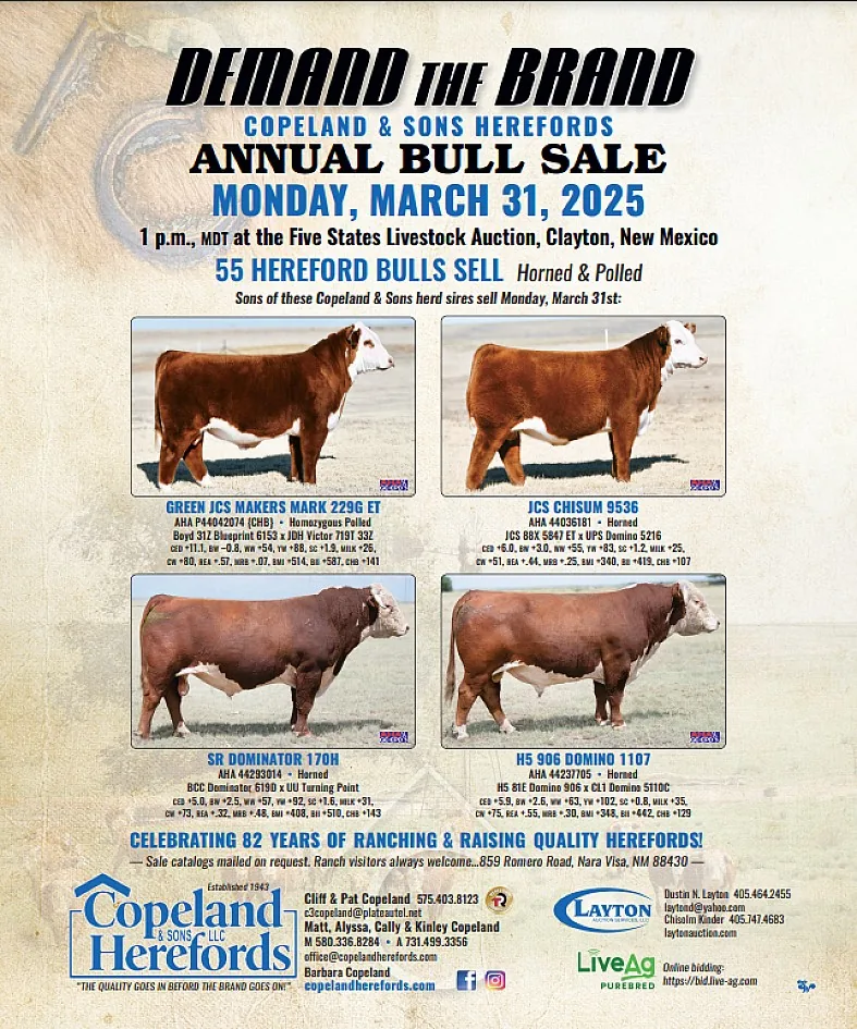 Copeland and Sons Herefords poster image