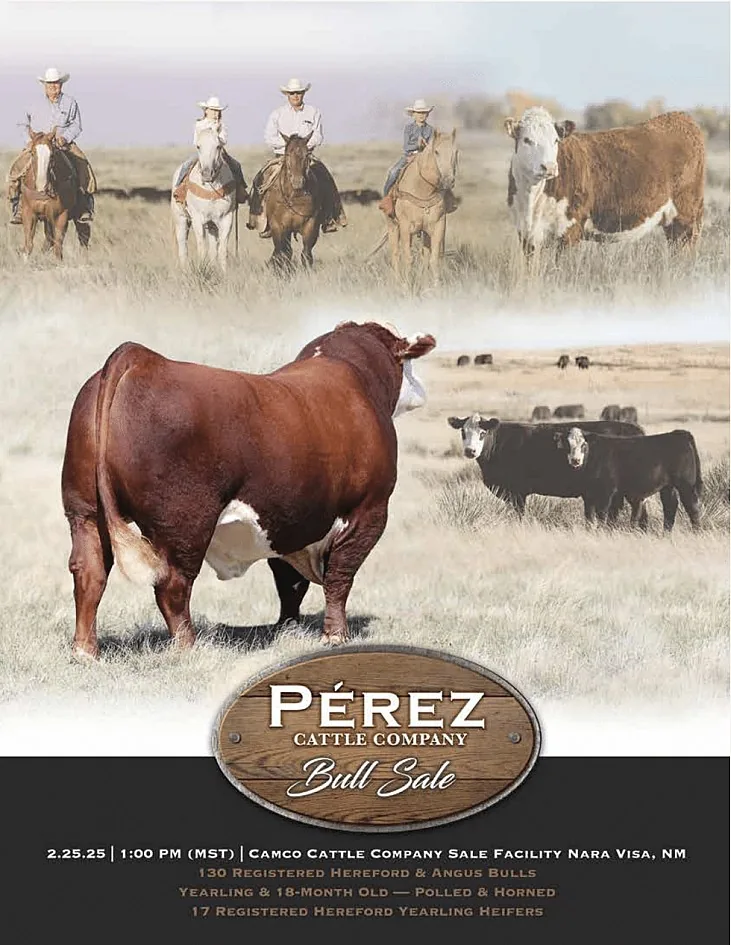 Perez Cattle Company poster image