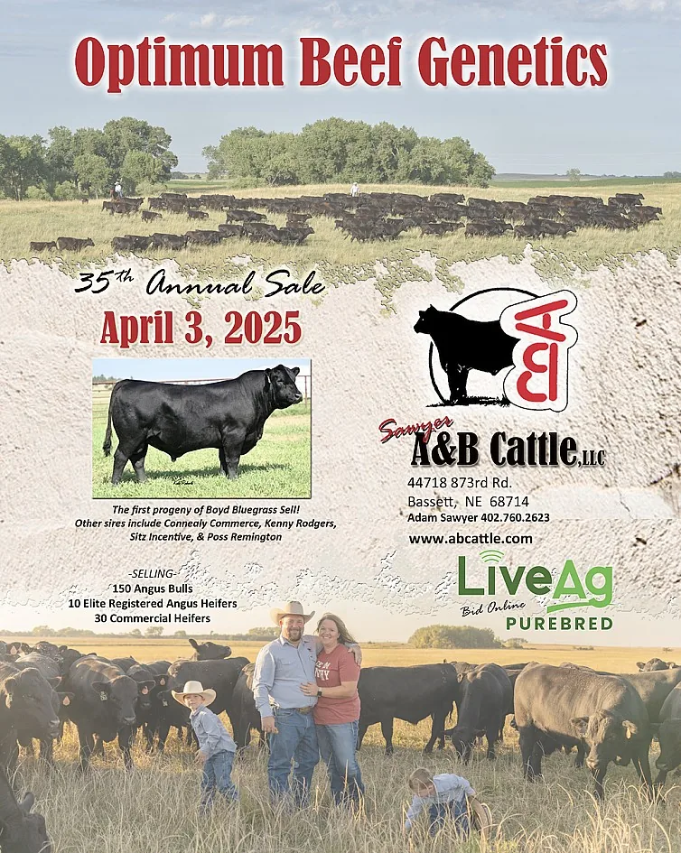 Sawyer A&B Cattle poster image