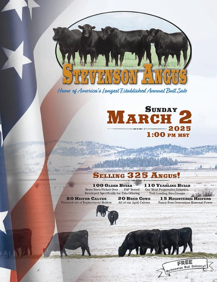 Stevenson Angus poster image