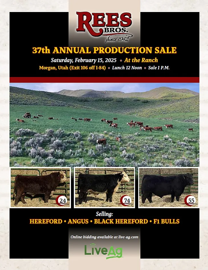 Rees Bros poster image