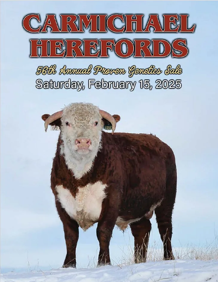 Carmichael Herefords poster image