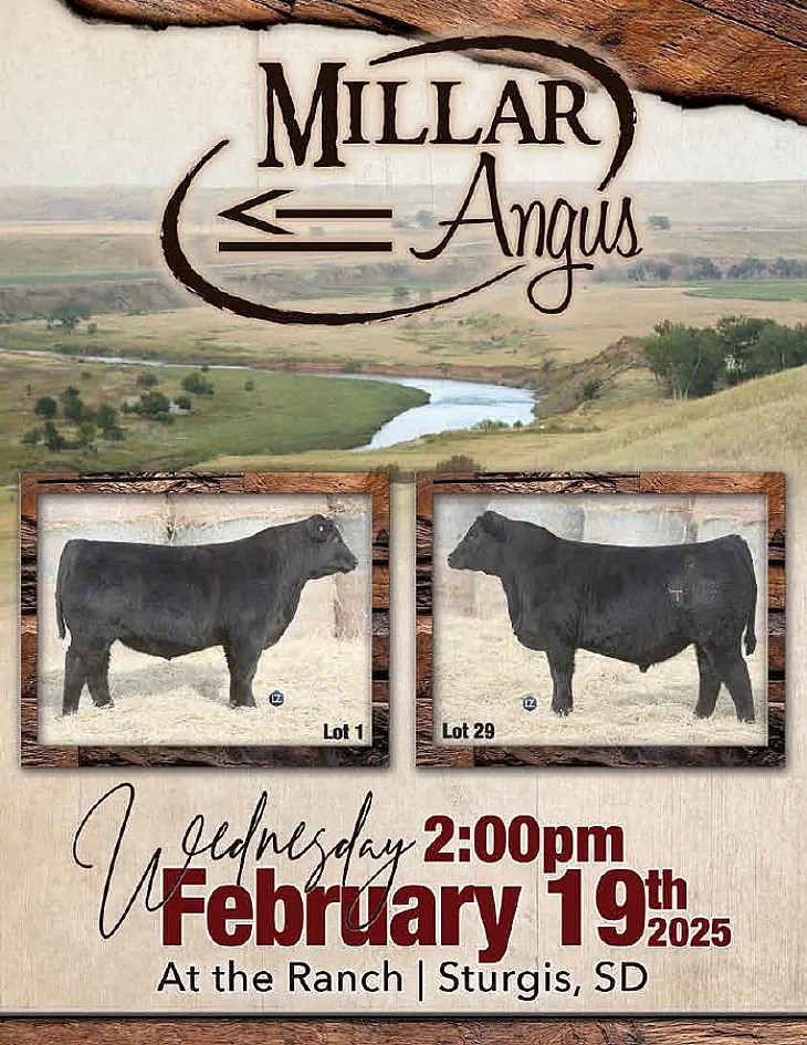 Millar Angus poster image