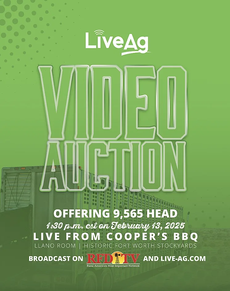 LiveAg Commercial Cattle poster image