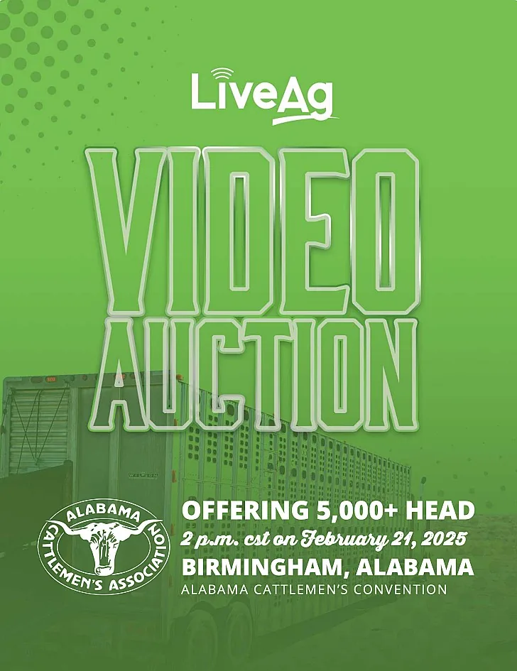 LiveAg Commercial Cattle poster image