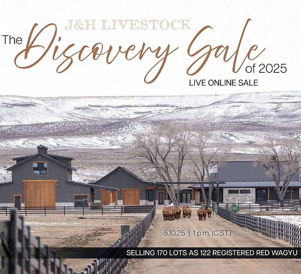 J&H Livestock poster image