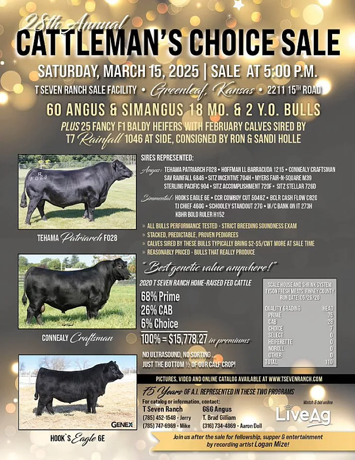 Cattleman’s Choice poster image