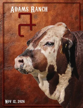 Adams Ranch’s 48th Annual Cattle Auction Poster